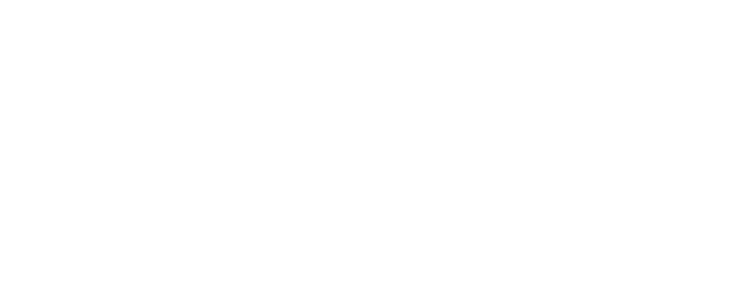 Conselho Mulheres de Governo